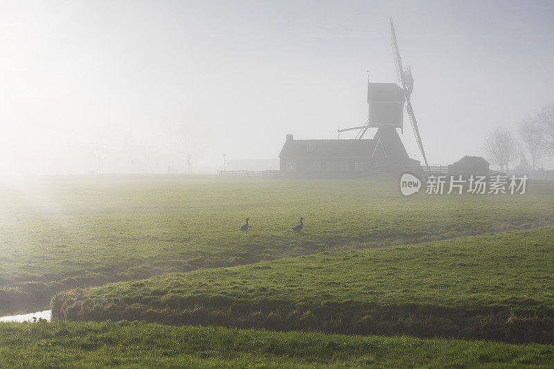 Grote Molen(大磨坊)位于荷兰Hazerswoude附近